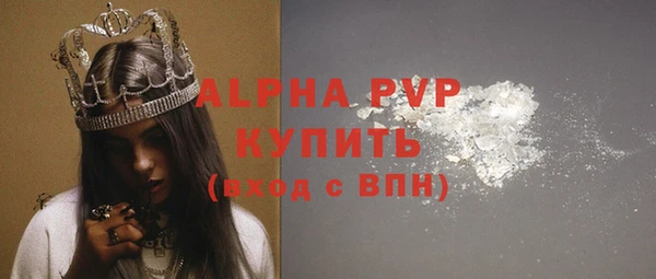 сатива Беломорск